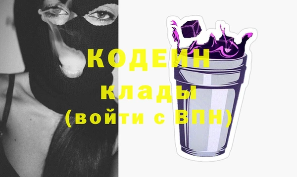 тгк Инсар