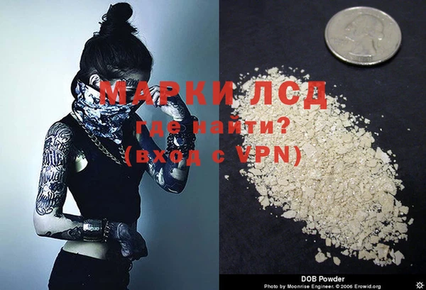 тгк Инсар
