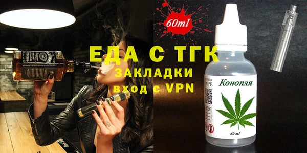 тгк Инсар