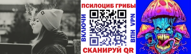 Купить где  Волхов  Псилоцибиновые грибы Cubensis 